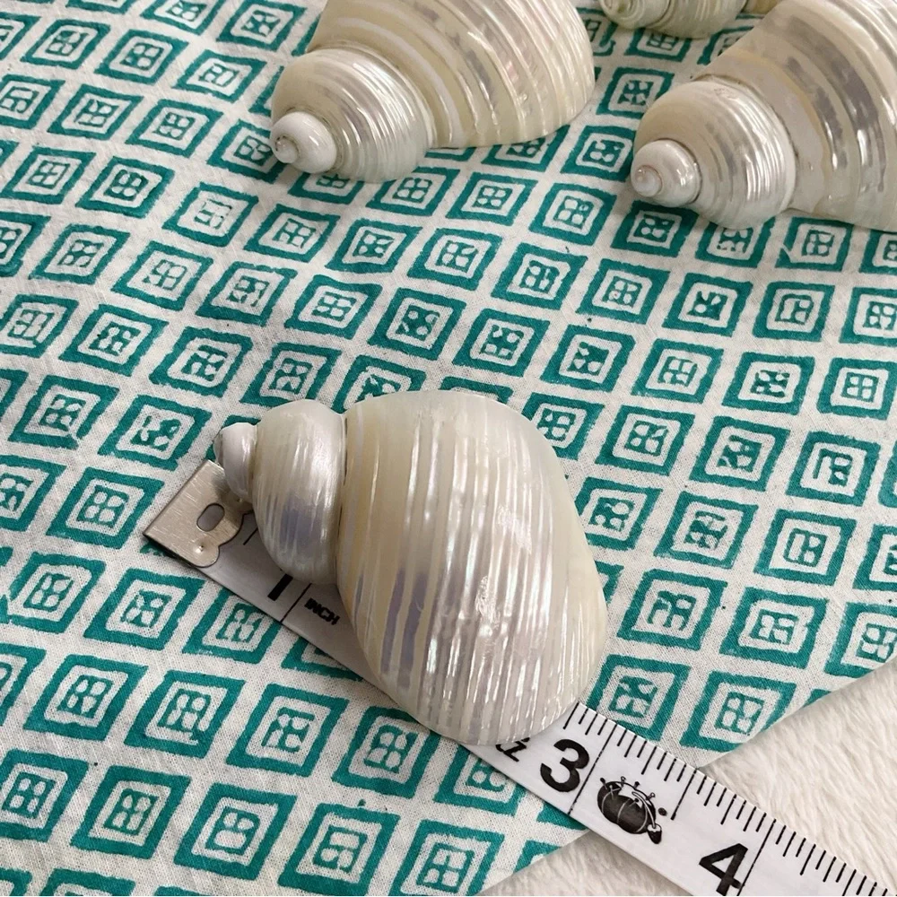 Vintage Shell Napkin Rings Set of 4 Coastal Beach Decor 1970s Seashell